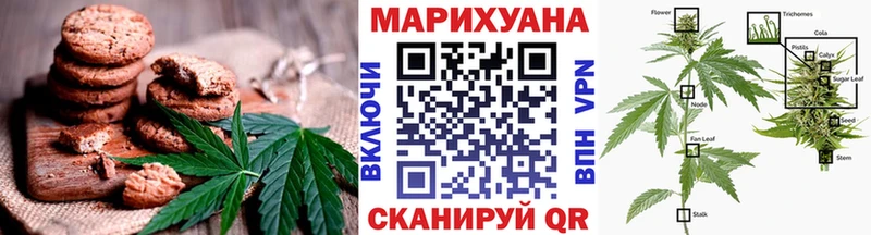 Купить закладки  Красный Холм  Canna-Cookies конопля 